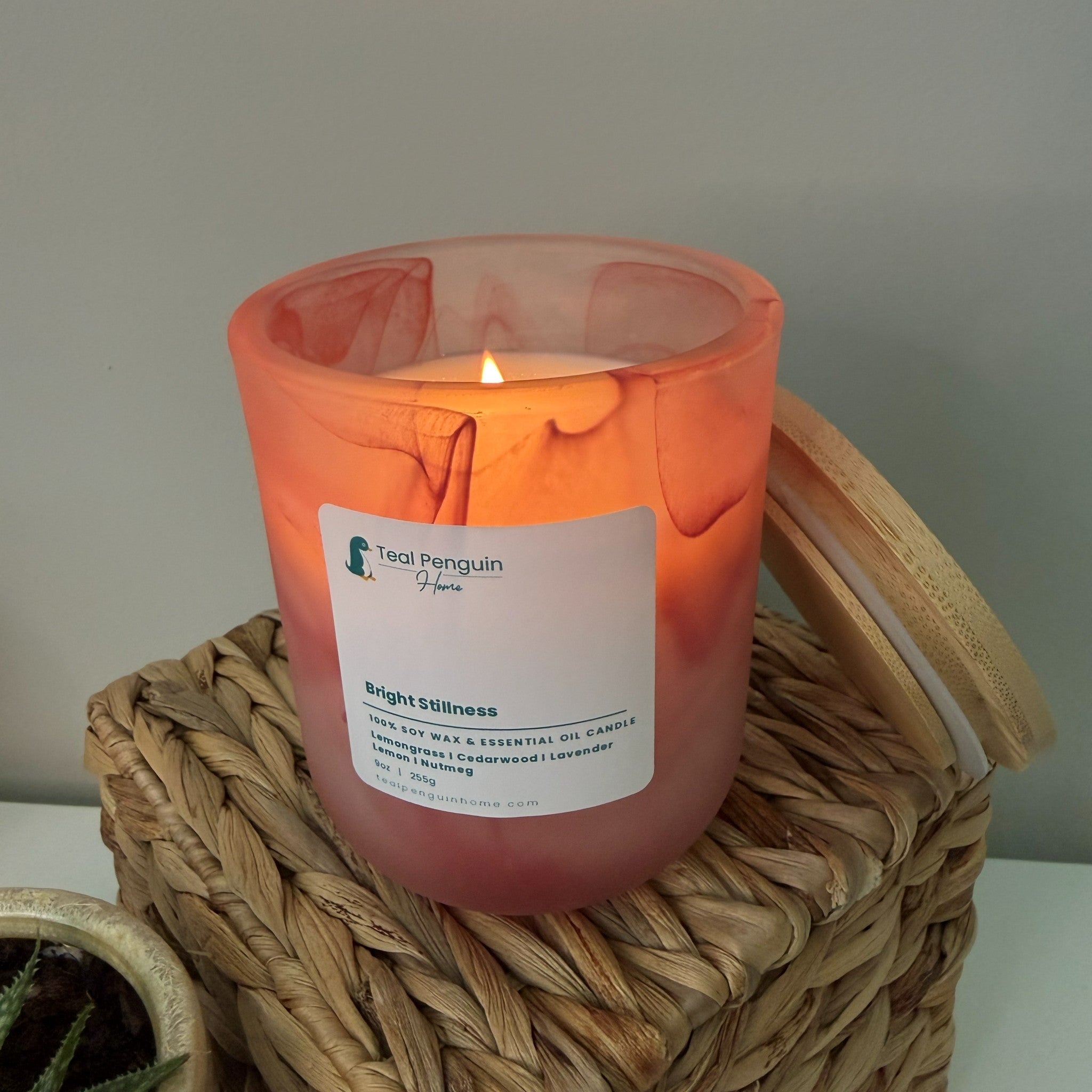 Bright Stillness - Teal Penguin Home